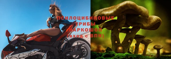 крисы Богданович