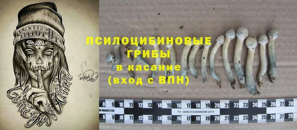 крисы Богданович