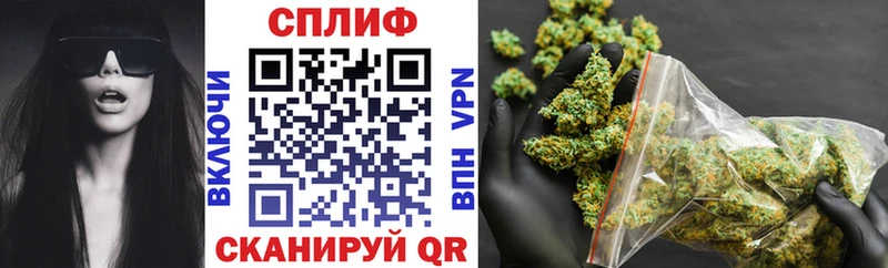 Каннабис сатива  Купить где  Георгиевск 